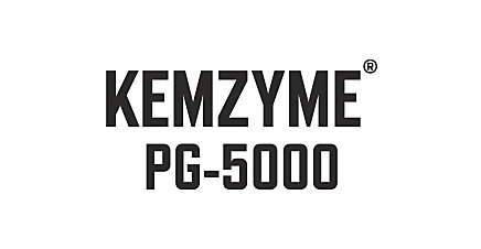 KEMZYMEPG-5000Logo