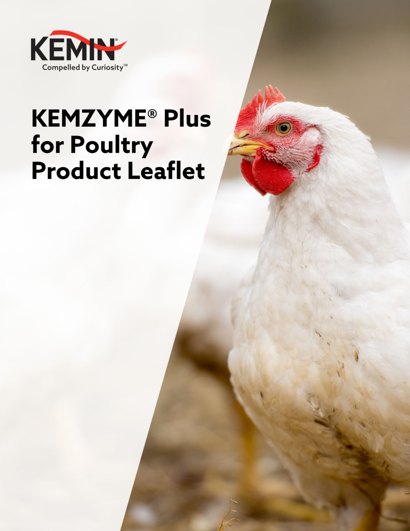 kemzyme plus for poultry product leaflet