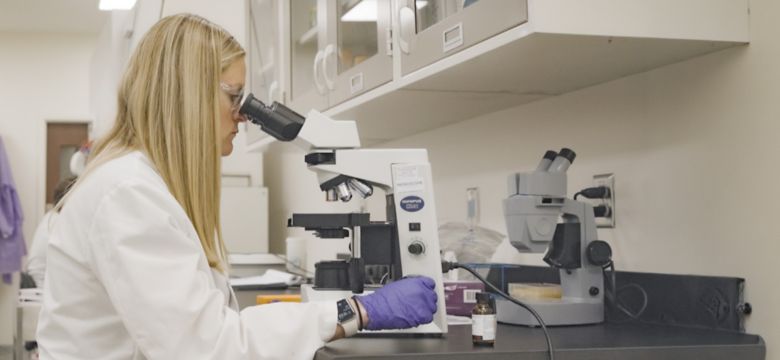 Female scientist examining sample under microscope in research laboratory