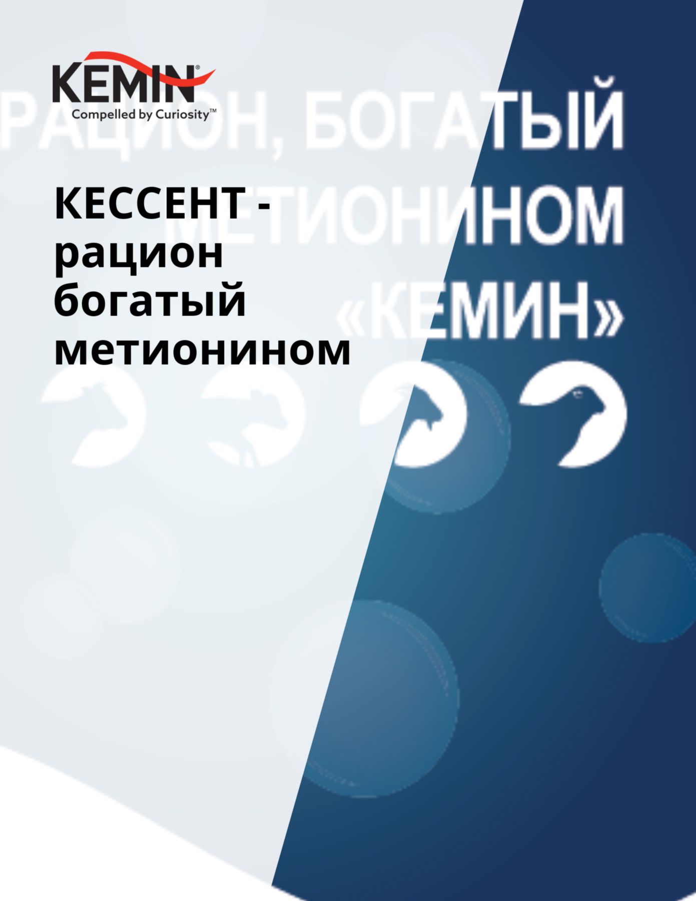 Copy of Aleta Technical Docs - Improving the sow’s nutrient supply increases production cost-efficiency