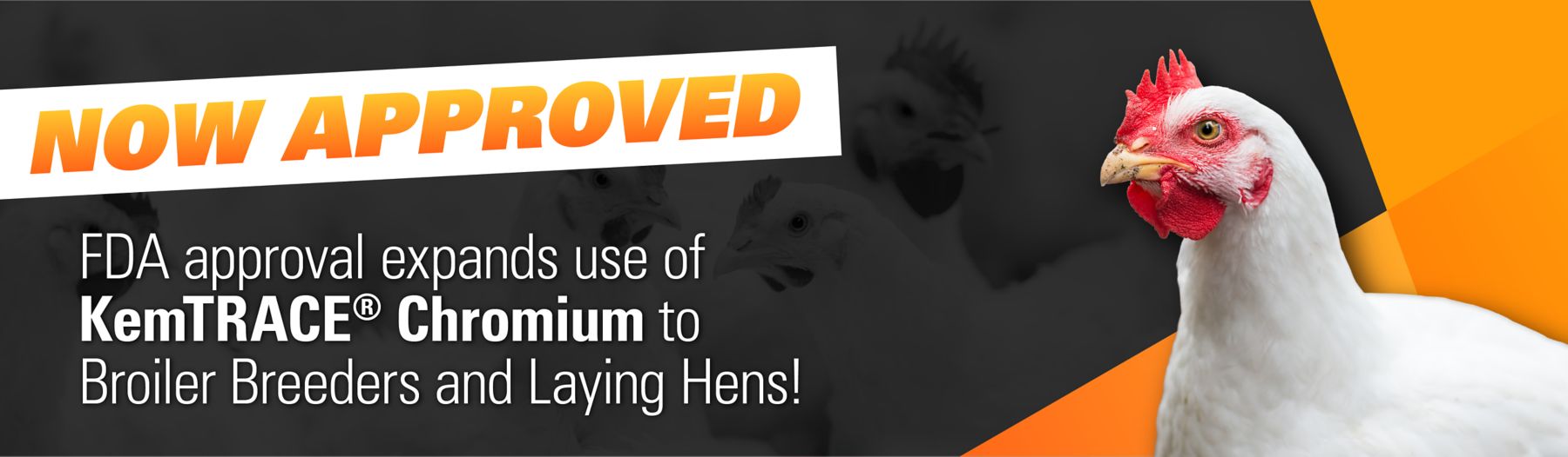 KemTRACEChromium_BreederLayerApproval_HubspotBanner
