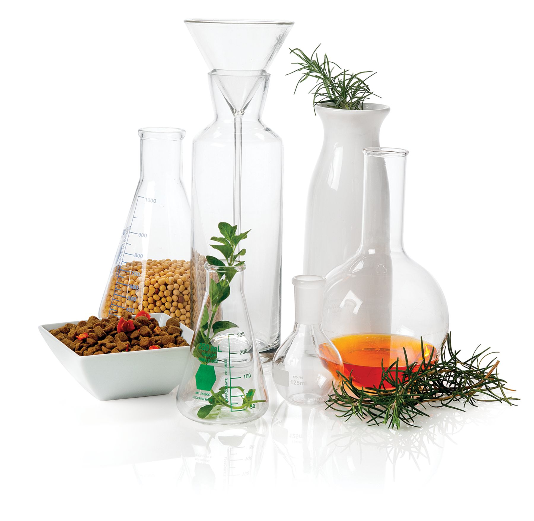 AOX_IMAGE_FOR WEBSITE