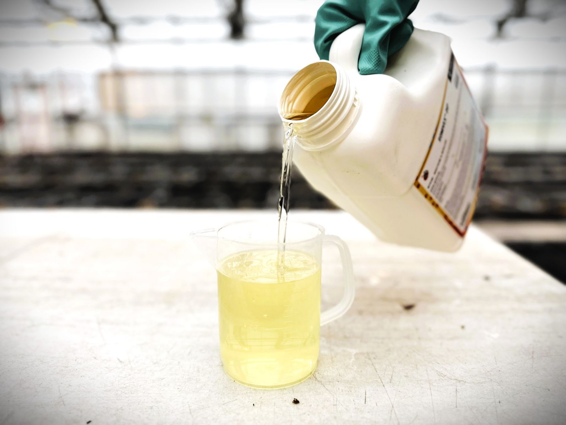 Kemin Romivex DIP GG Native 1