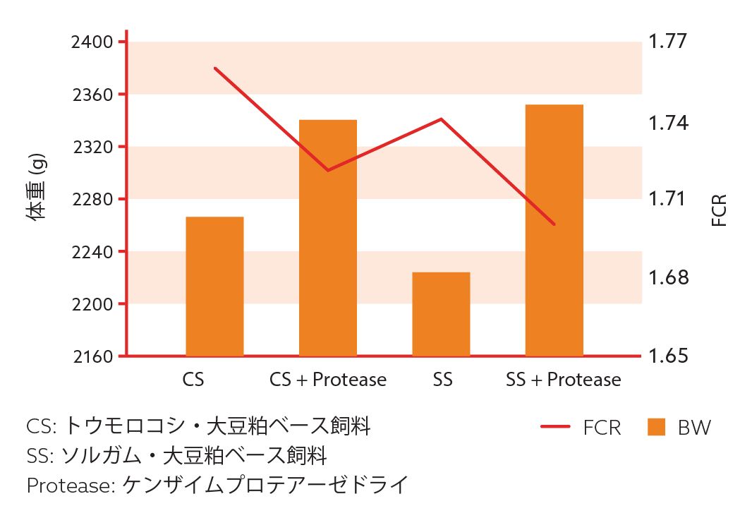 Kemzyme Protease Chart JP edited