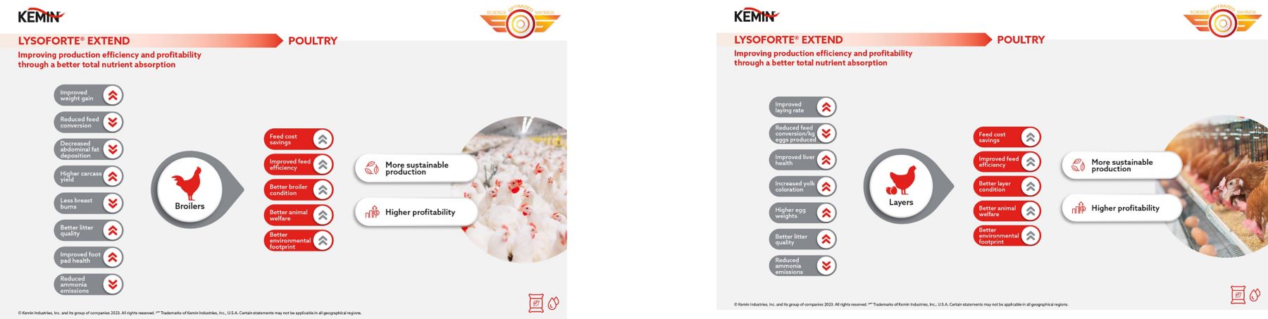 Kemin - infographic LEX 01 - 01-02-2023