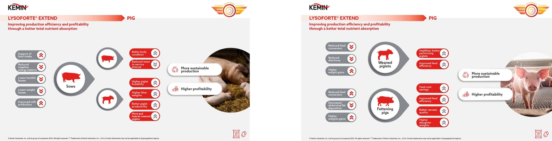 Kemin - infographic LEX 01 - 01-02-2023