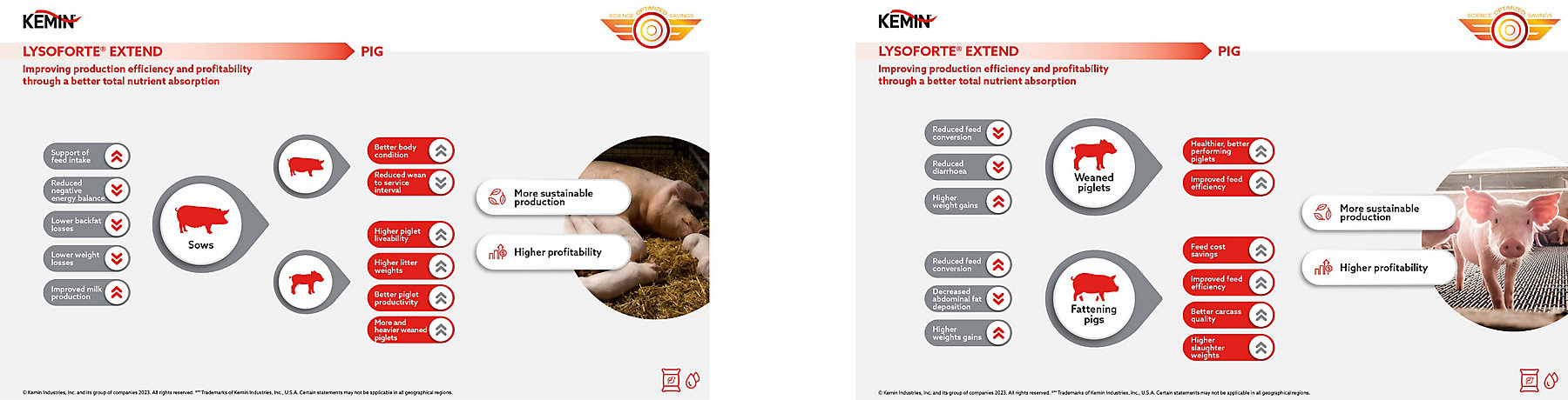 Kemin - infographic LEX 01 - 01-02-2023