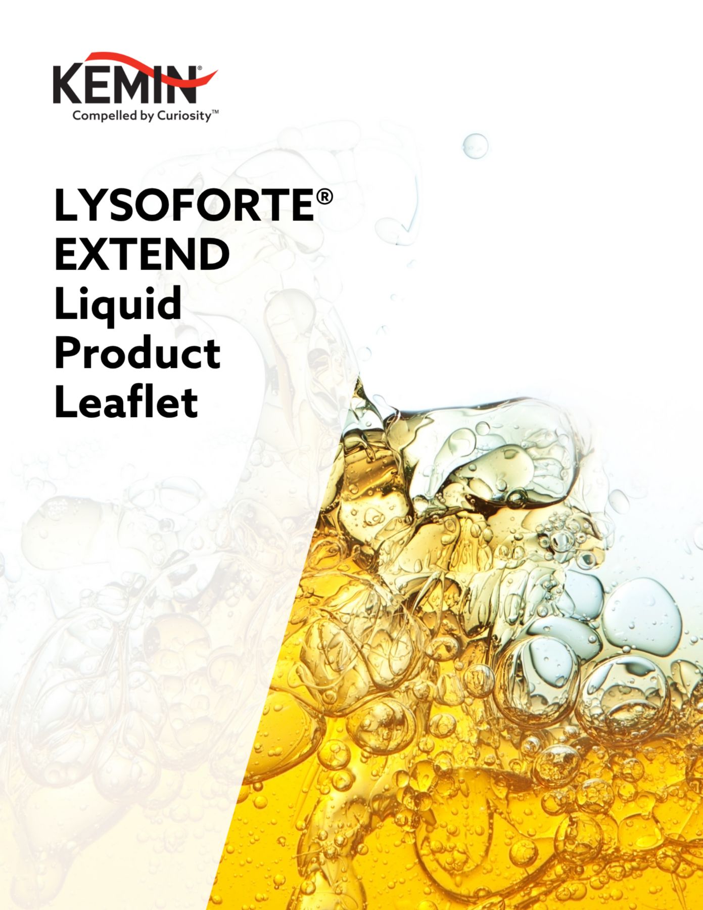 LYSOFORTE_EXTEND_LIQUID_Product_leaflet_thumbnail