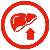 Liver icon