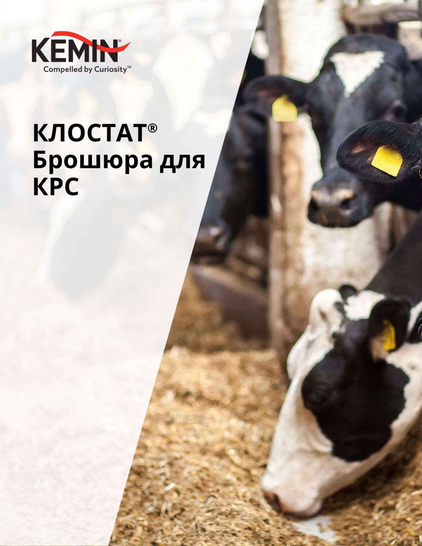 RU_CLOSTAT_brochure_RUM