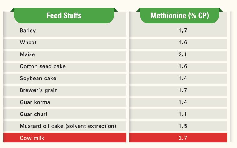 MetiPEARLFeedChart