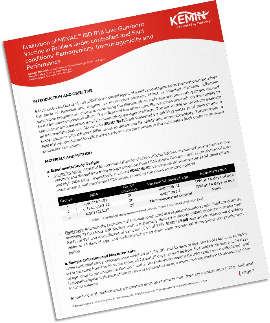Mockup-Technical-Literature-1-IP