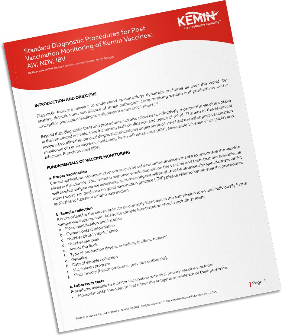 Mockup-Technical-Literature-1-IRP