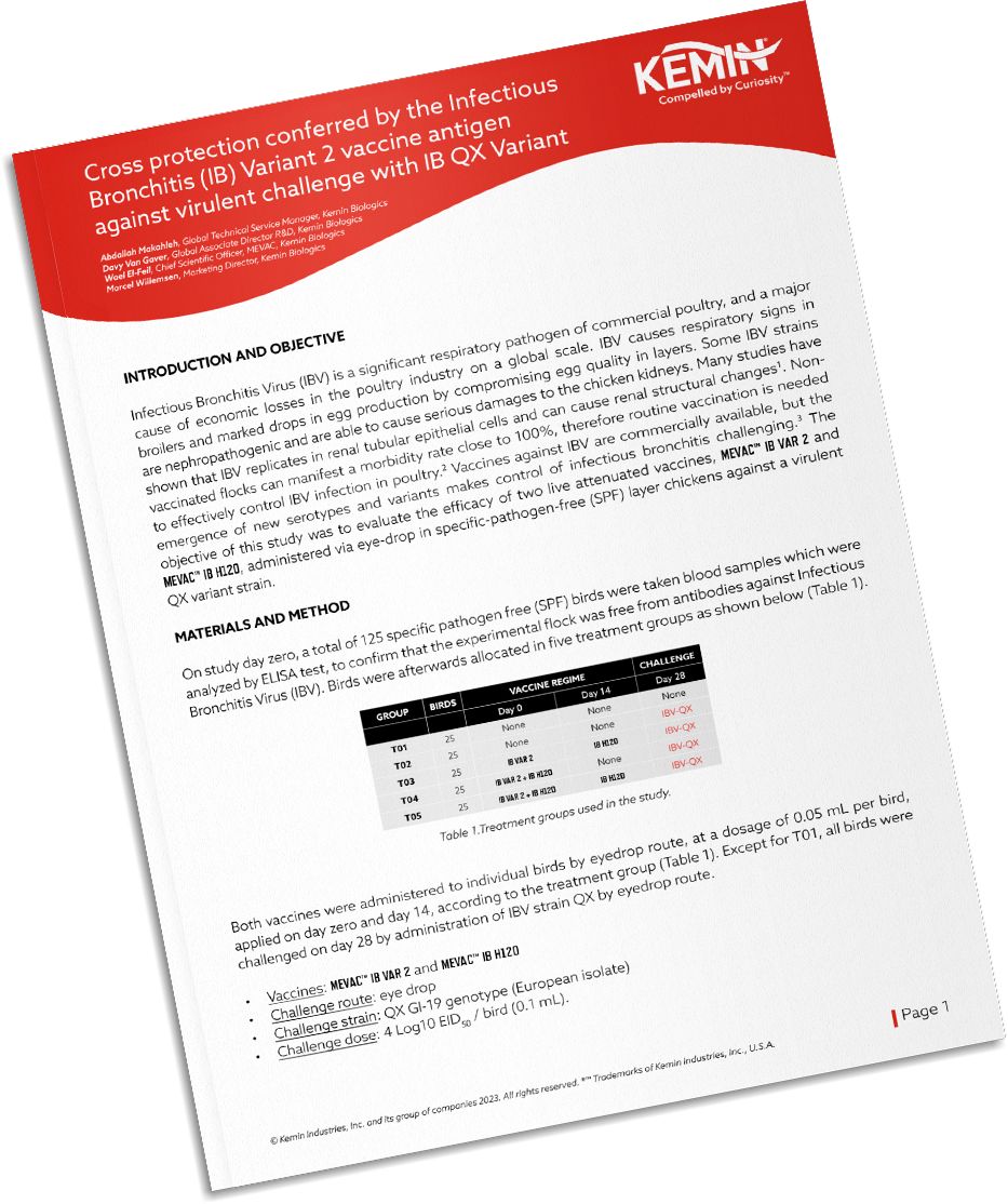 Mockup-Technical-Literature-1-RIP