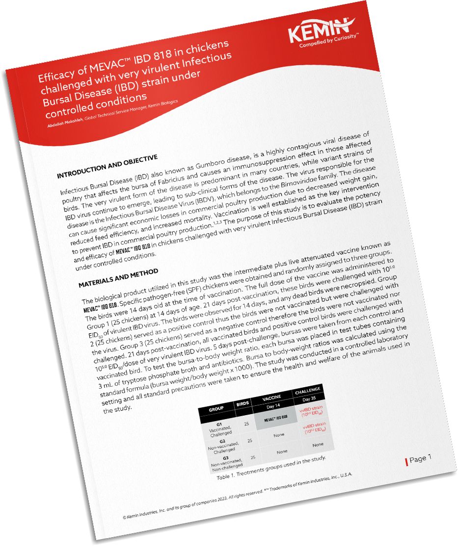 Mockup-Technical-Literature-2-IP