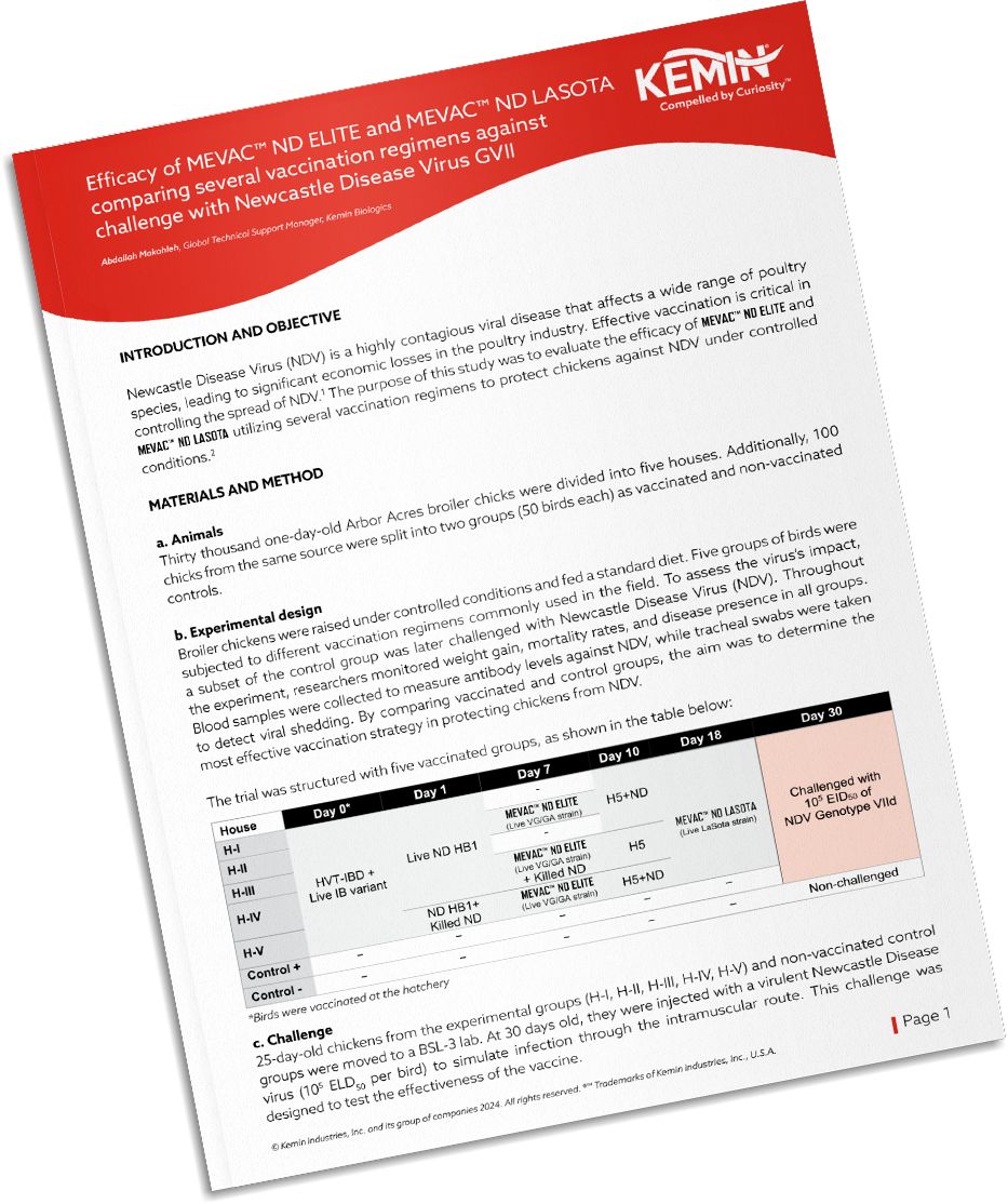 Mockup-Technical-Literature-2-RIP