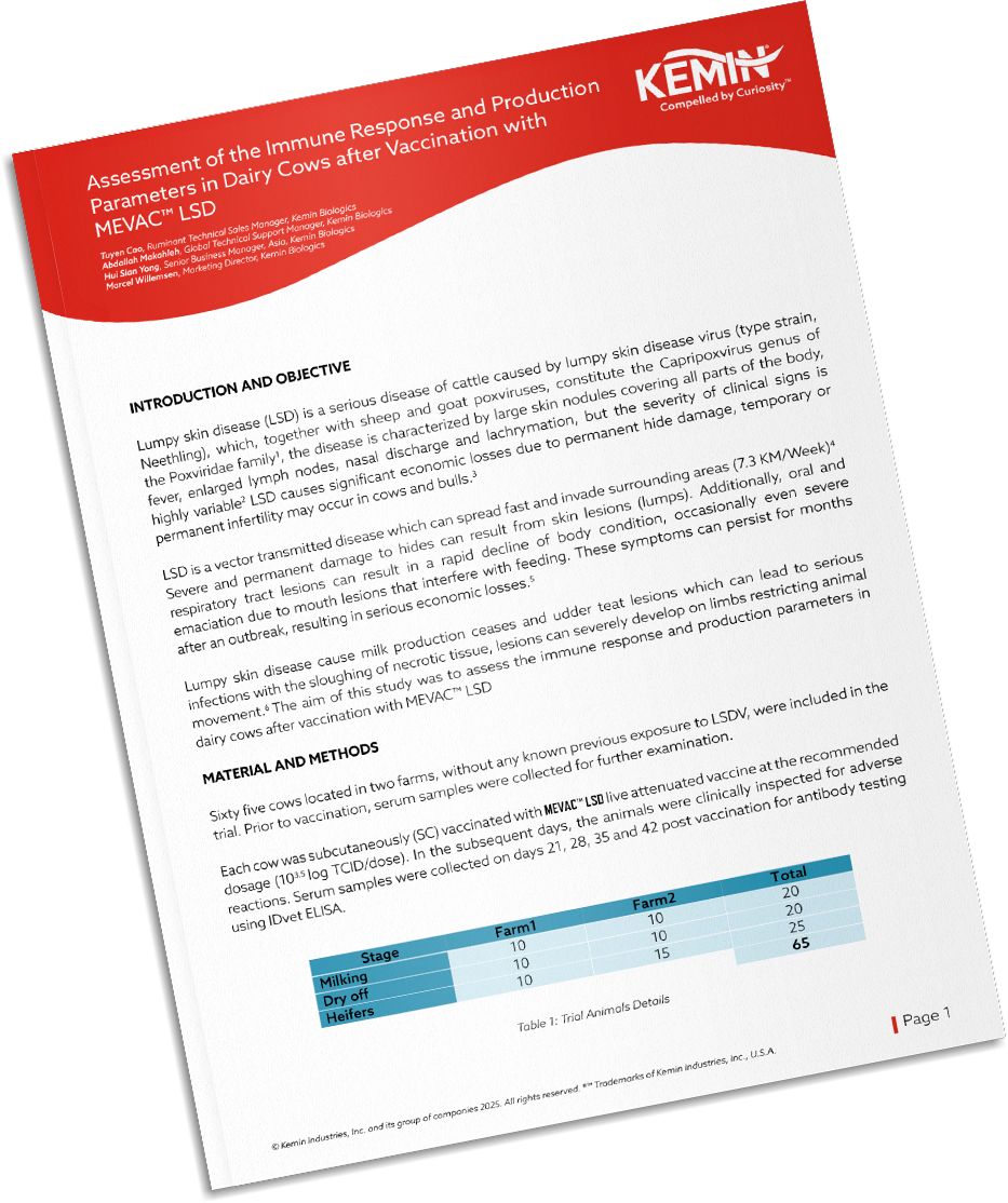 Mockup-Technical-Literature-2-TCR