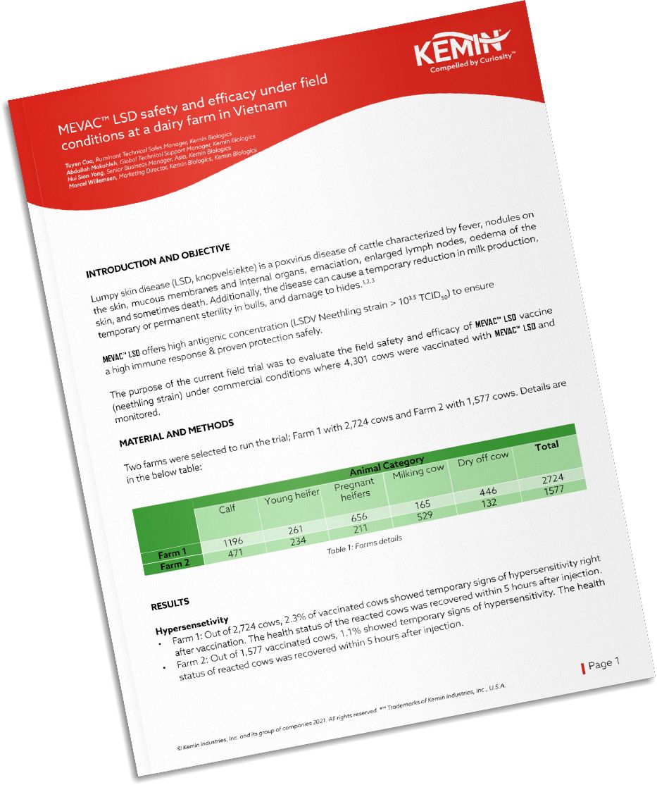 Mockup-Technical-Literature-3-TCR