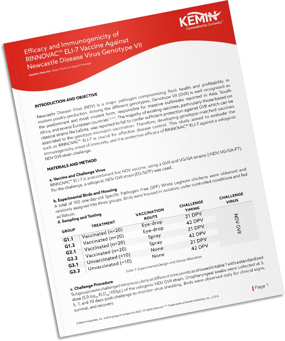 Mockup-Technical-Literature-4-RIP