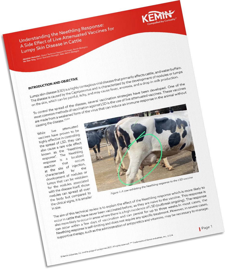 Mockup-Technical-Literature-4-TCR