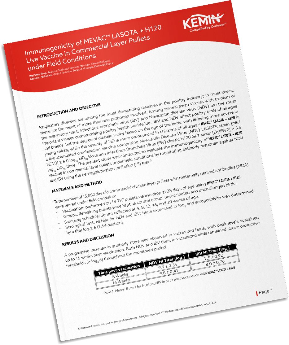 Mockup-Technical-Literature-5-RIP
