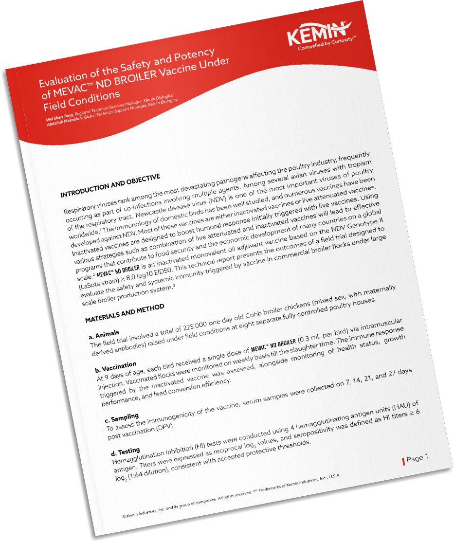 Mockup-Technical-Literature-6-RIP