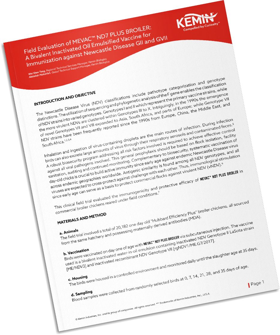 Mockup-Technical-Literature-1-RIP