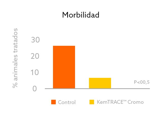 Morbidade rumi ES.png