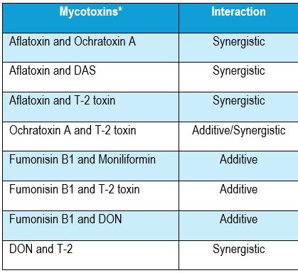 Interactions among various mycotoxins and their combinations