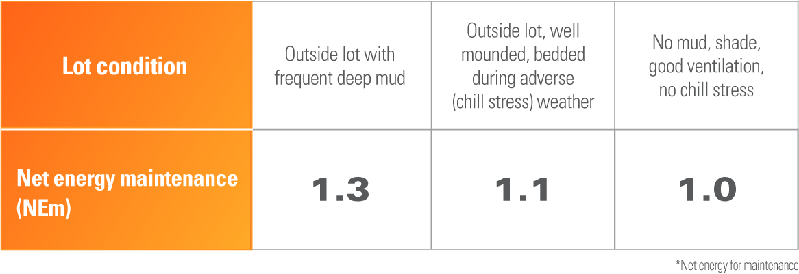 KT Cr Beef Mud Stress Net Energy Maintenance Chart
