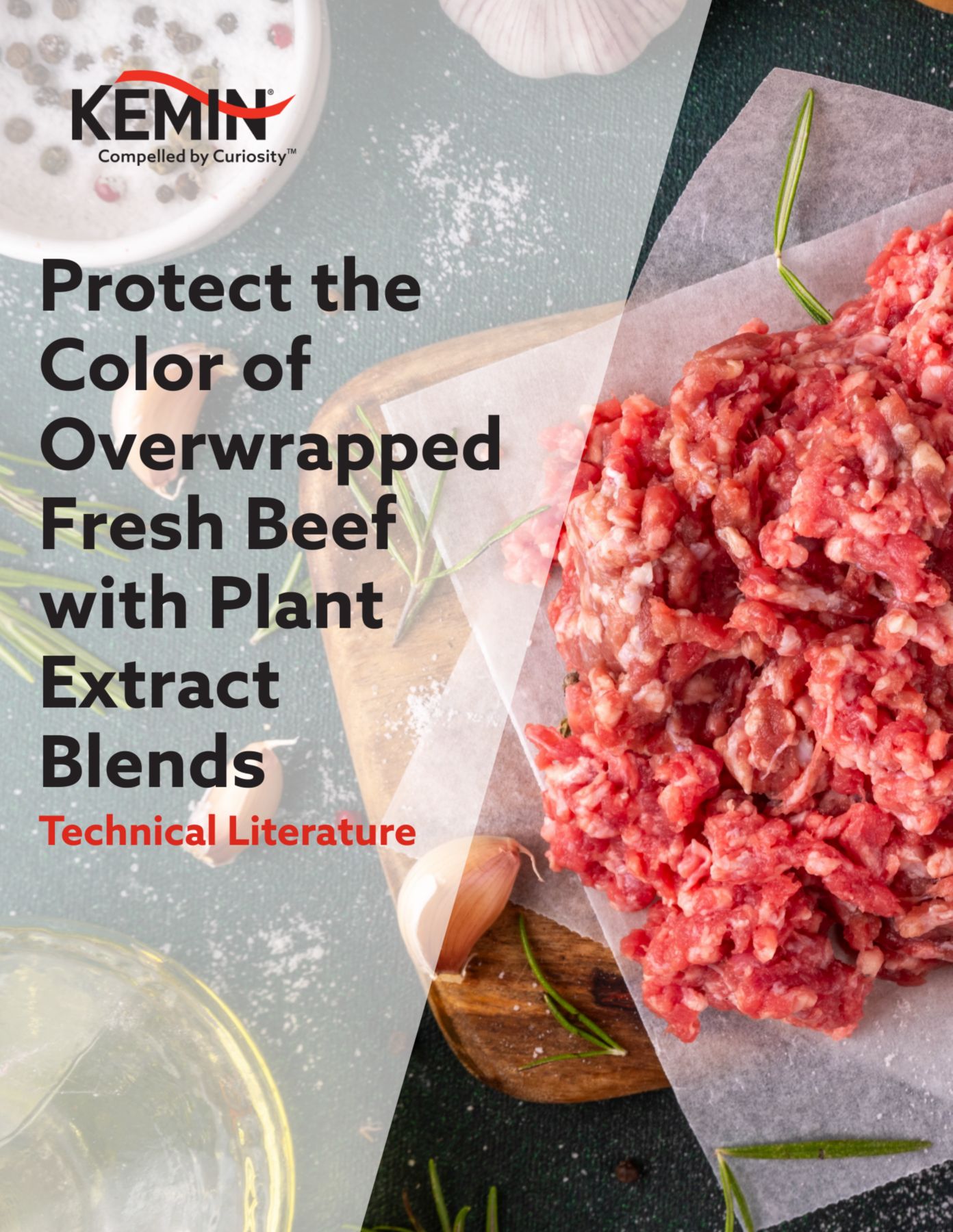 NaturFORT AGT in Fresh Beef Download