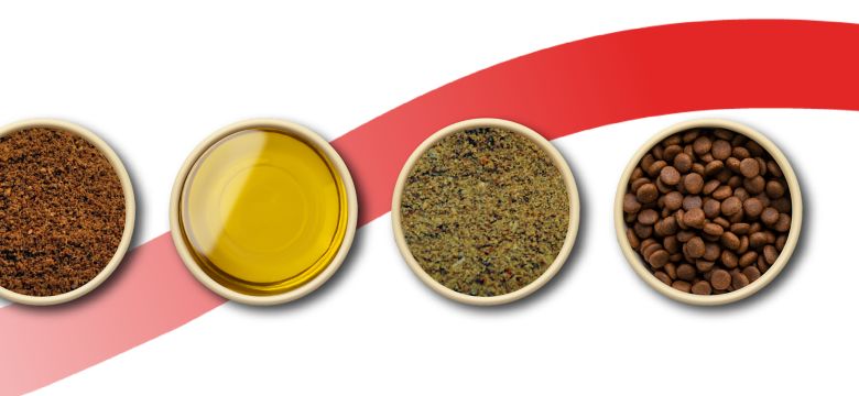 New Banner Bowl_Rendering-01