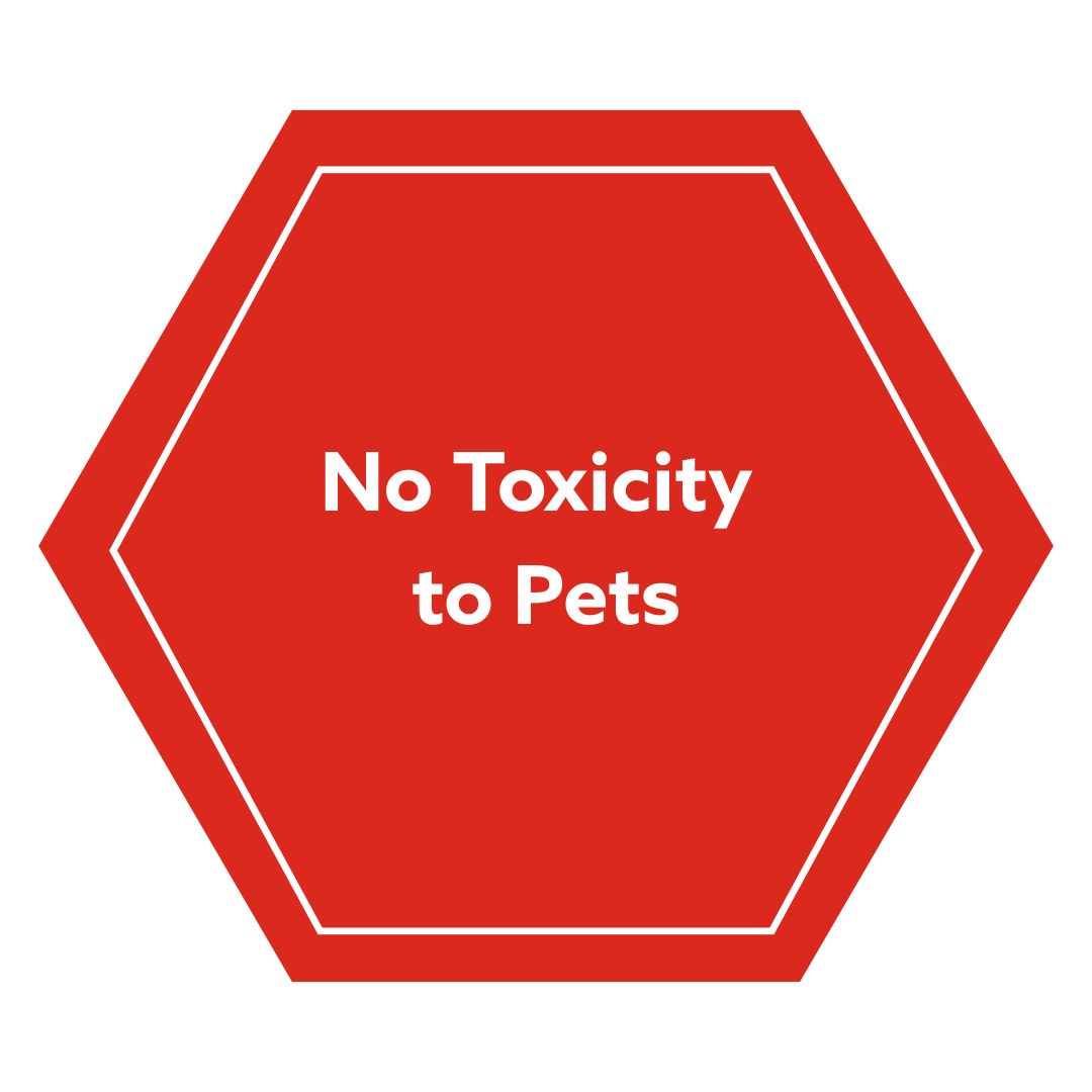 No Toxicity