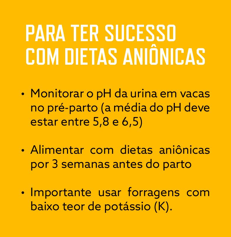 NutriCAB imagem 1.png