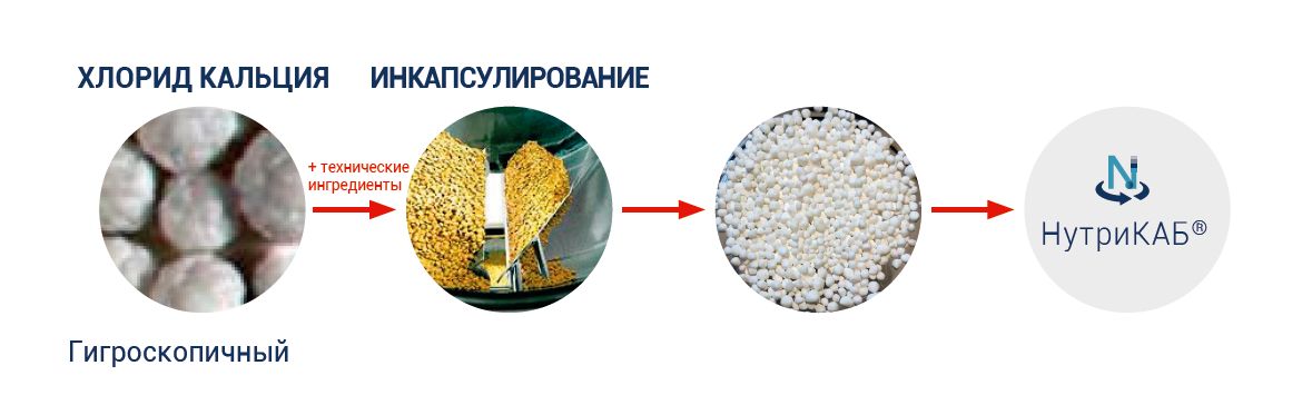 Nutricab pan coating RU