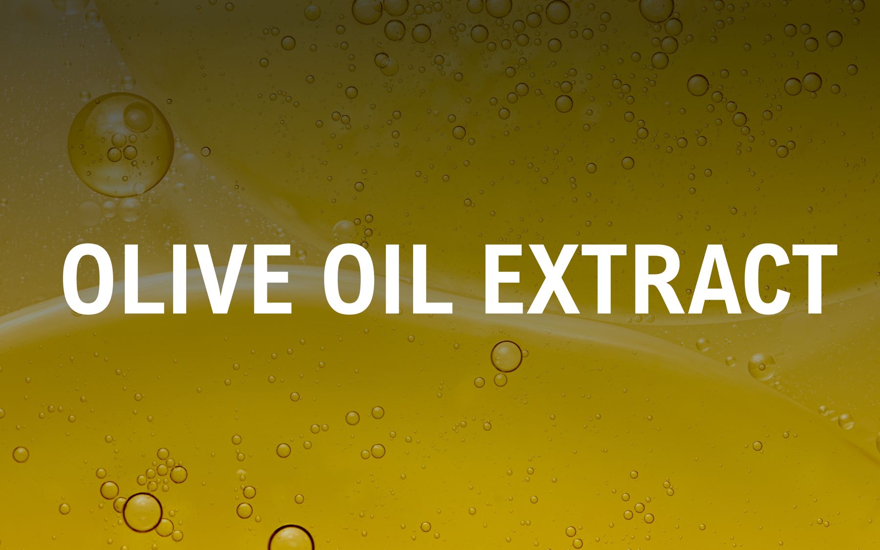 OLIVE OIL EXTRACT 
