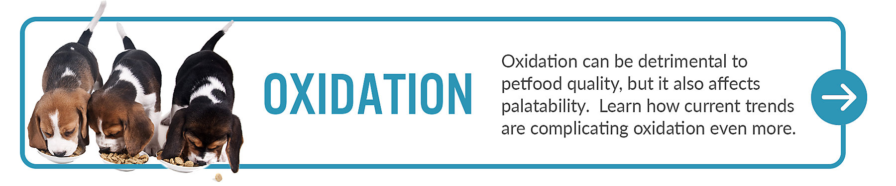 Oxidation Button