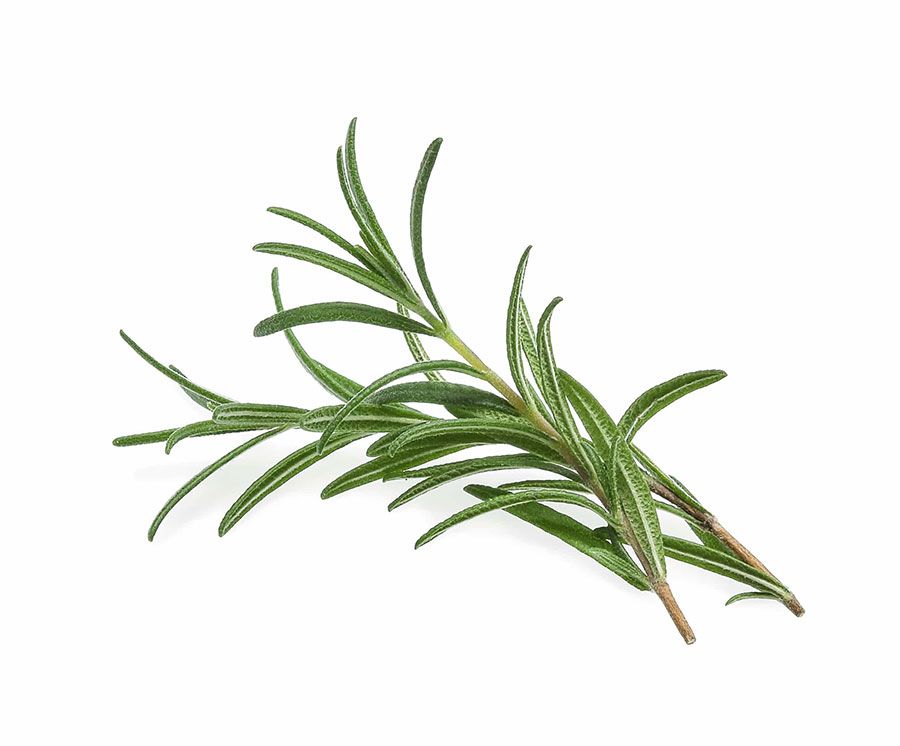 Rosemary For Oxidation Control