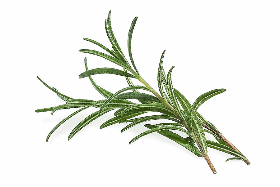 Rosemary For Oxidation Control
