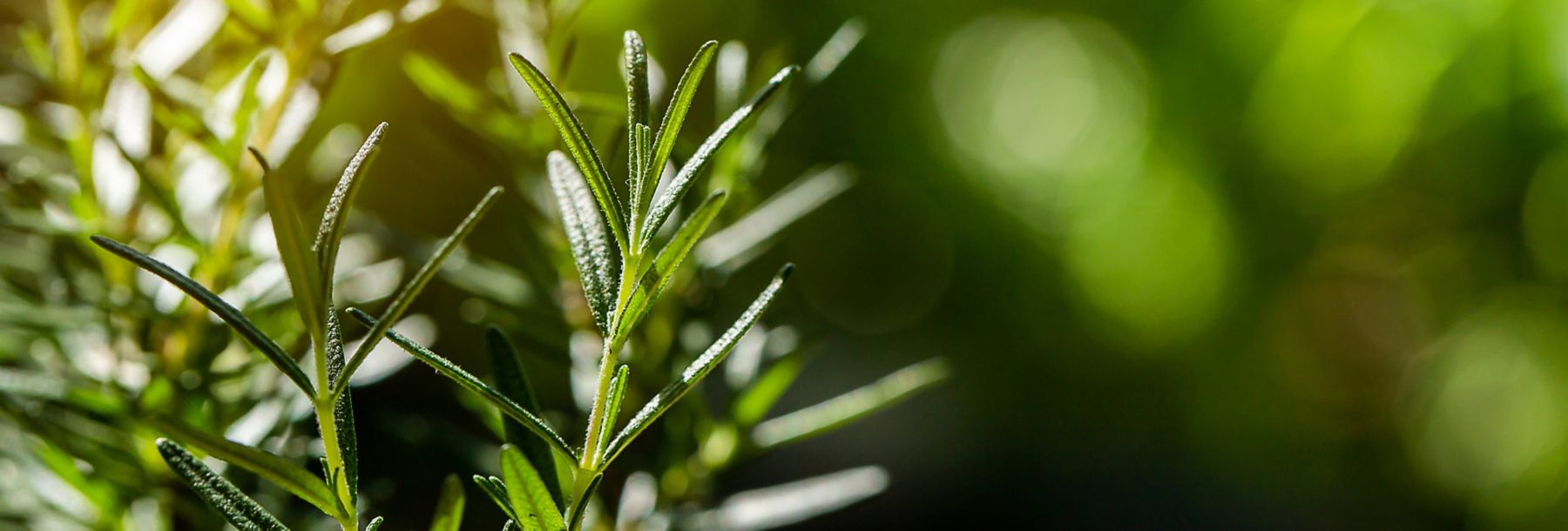 Oxidationcontrol banner-1