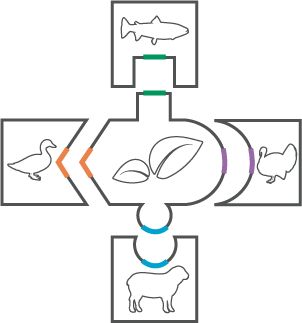 PALTEVA-plant-animal-puzzle