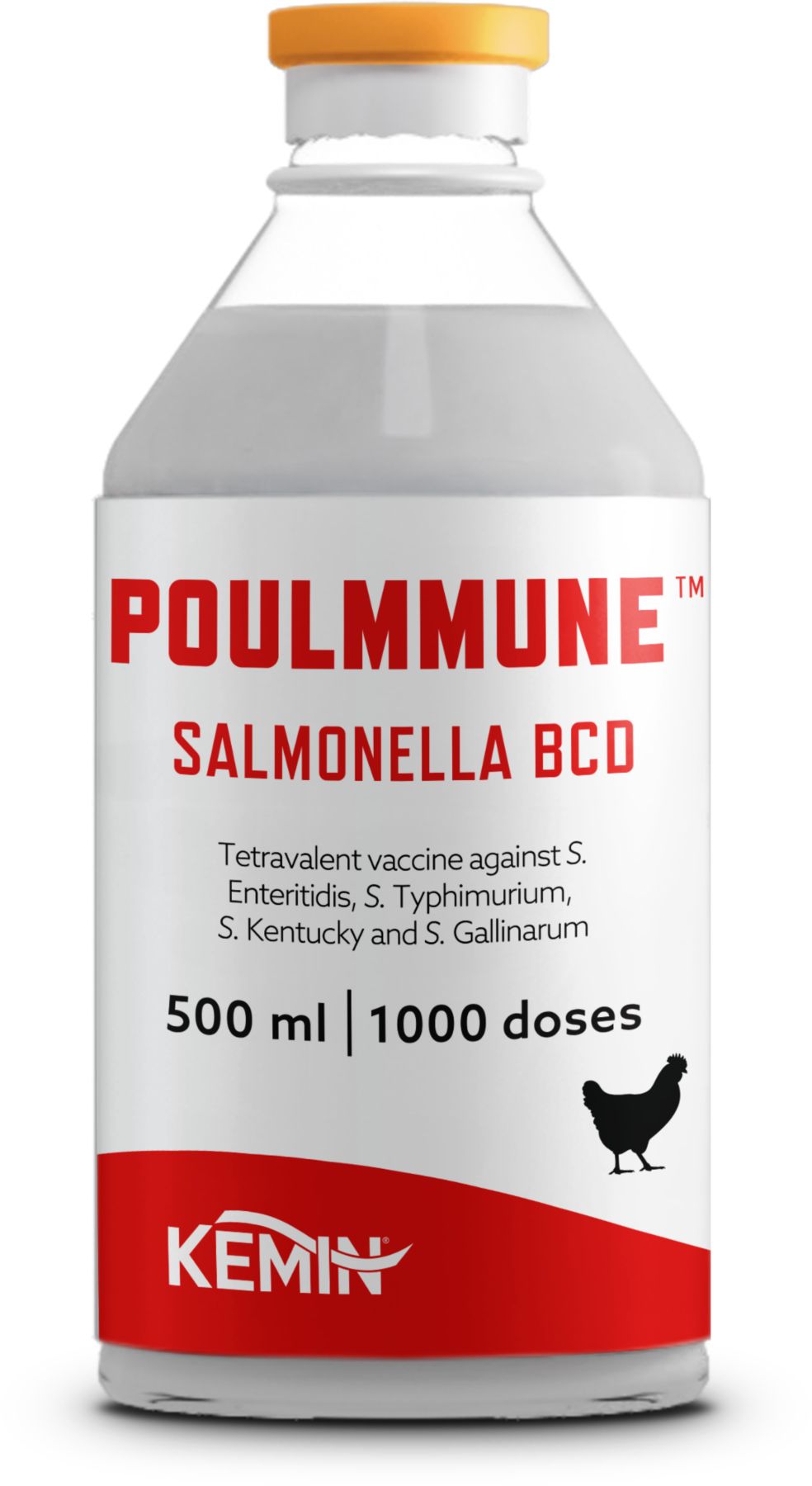 POULMMUNE™ SALMONELLA BCD | Poultry Vaccine | Kemin EMENA