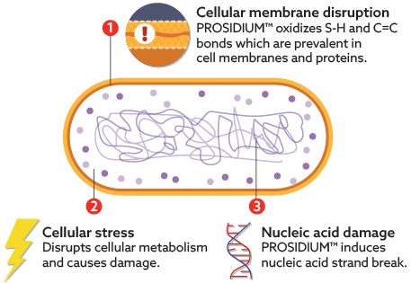 PROSIDIUM MOA Cell Diagram