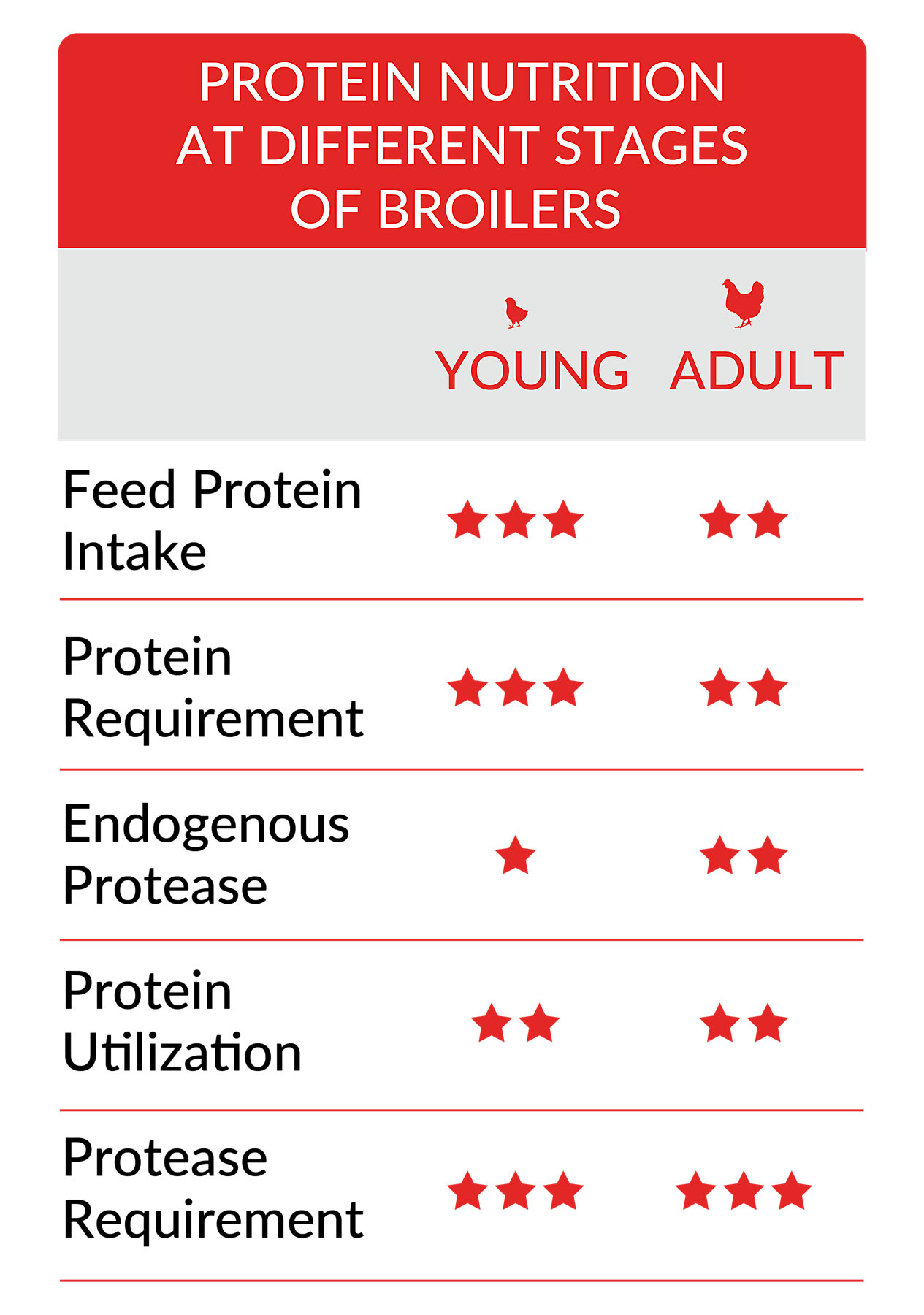 PROTEIN EFFICIENCY AND PROTEIN NUTRIENT broiler infographic