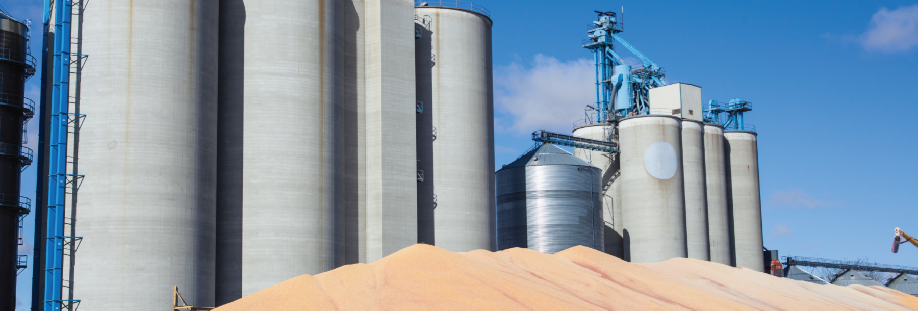Maintain Animal Feed Quality | Kemin Industries USA