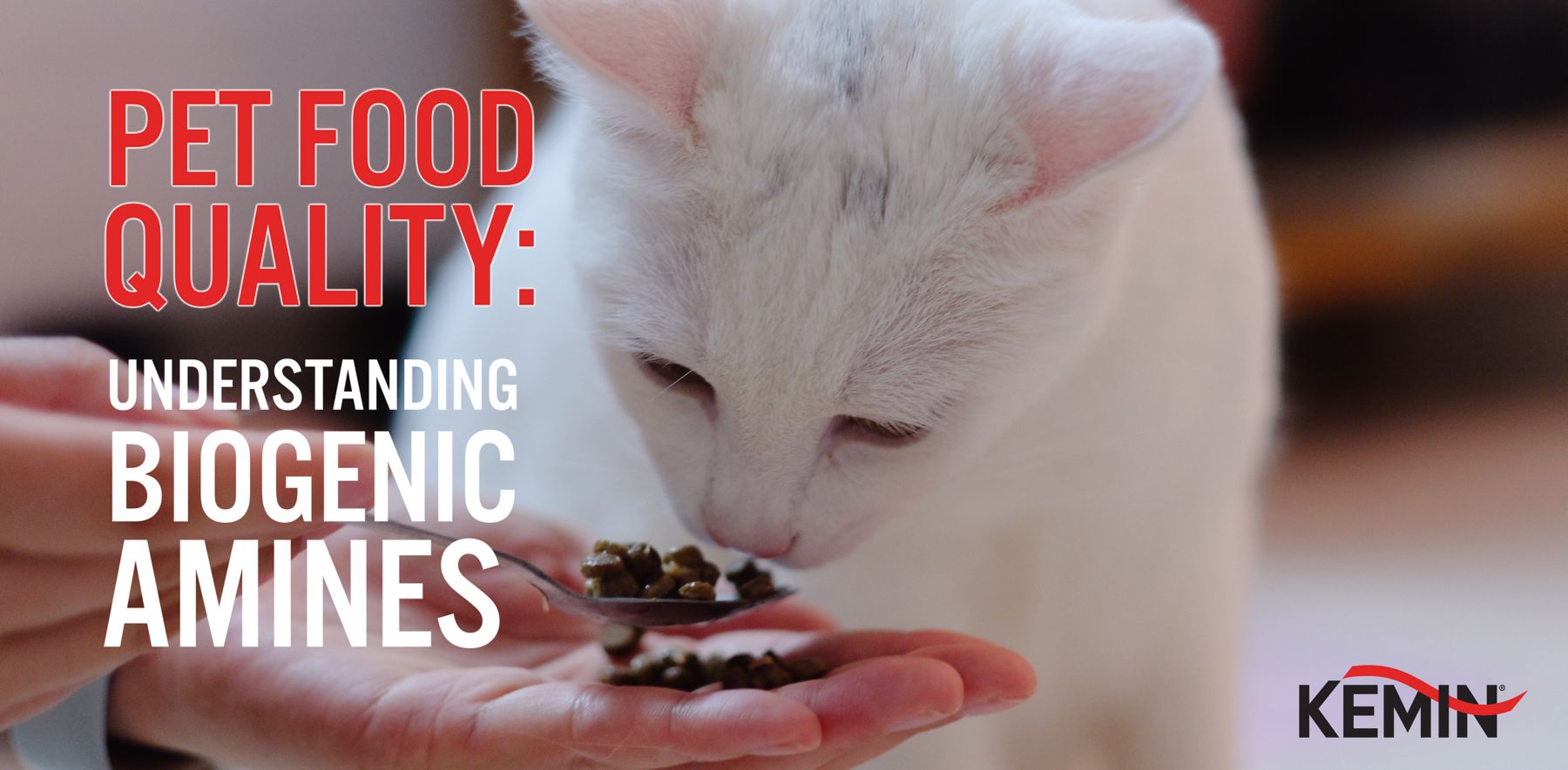 PetFoodQualityBanner_Final-1