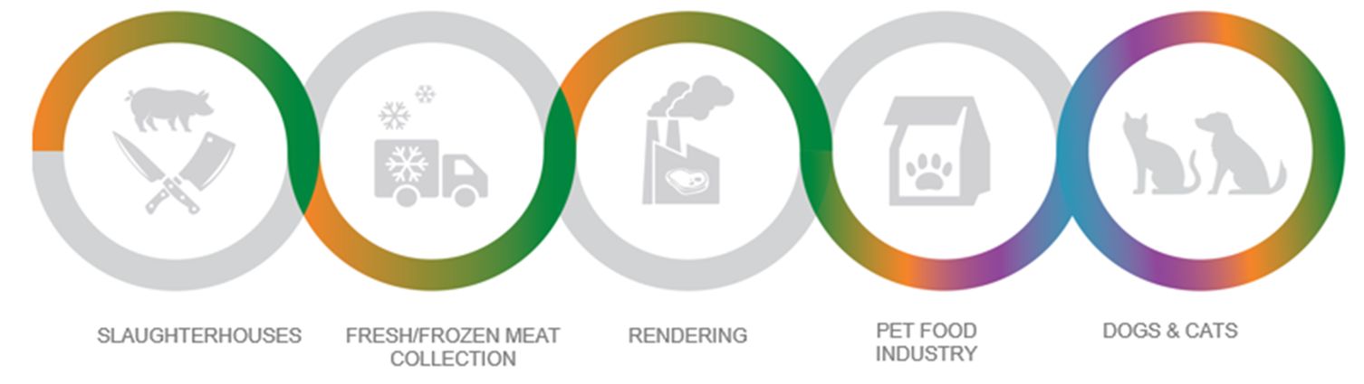 pet food process