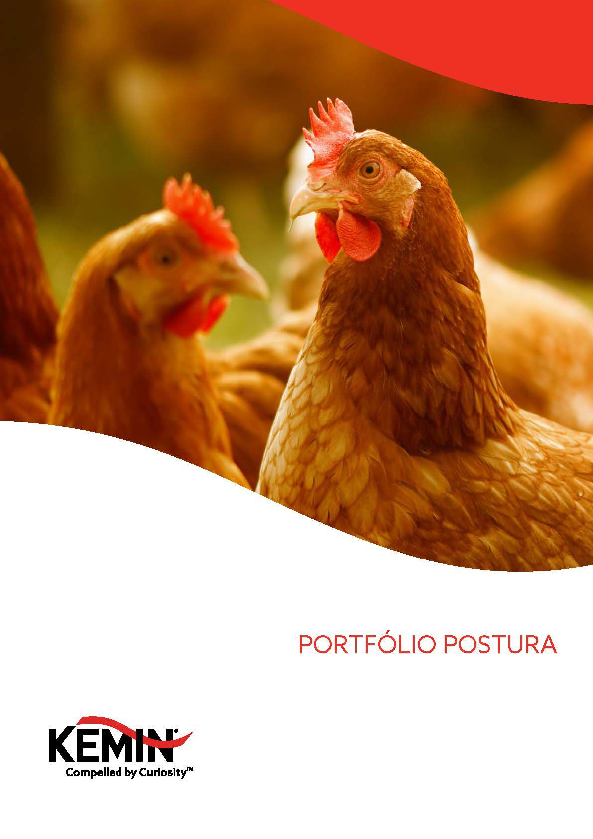 Portfolio de Postura PT v2_Página_1.jpg