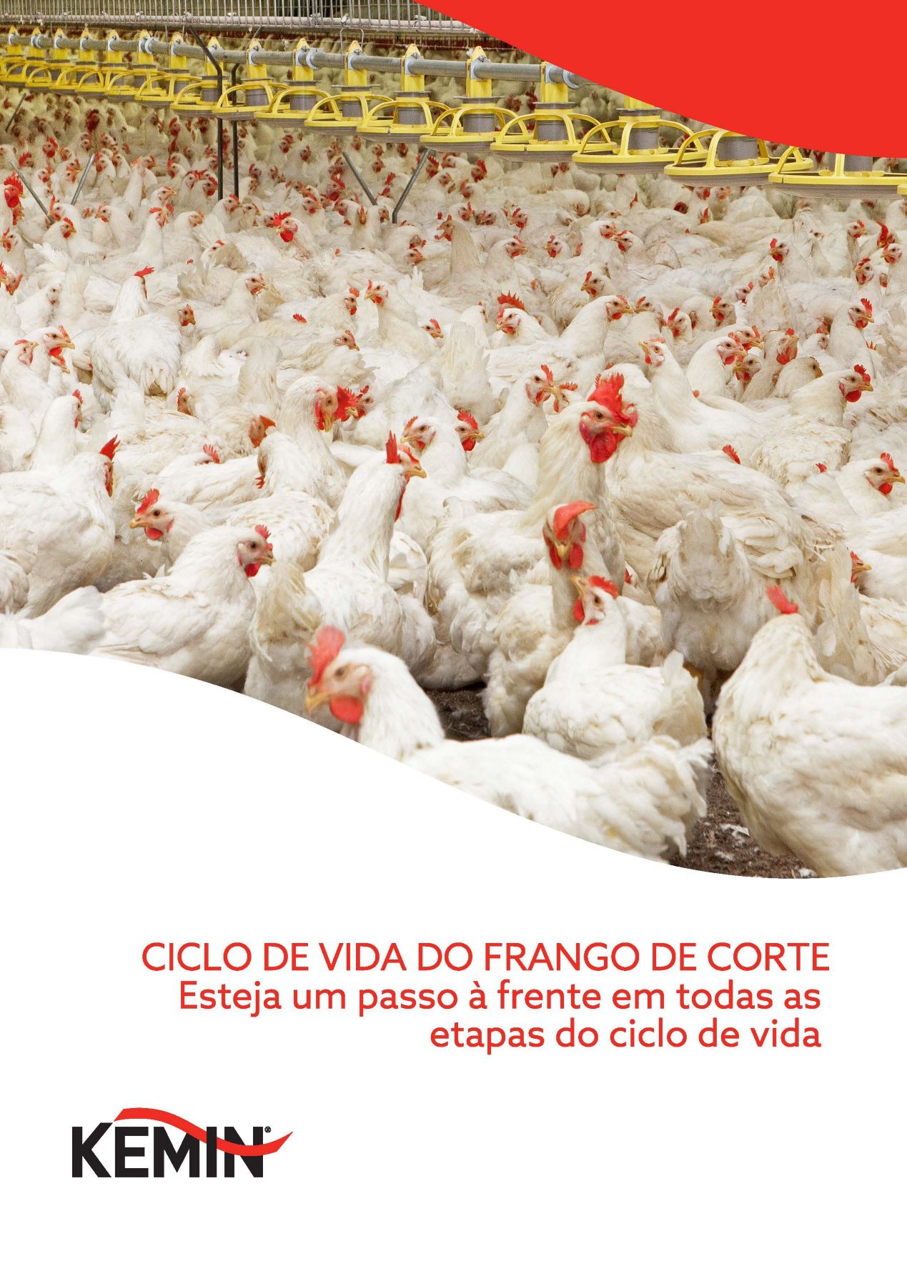 Portfólio Frangos_Web_PT_Página_1.jpg