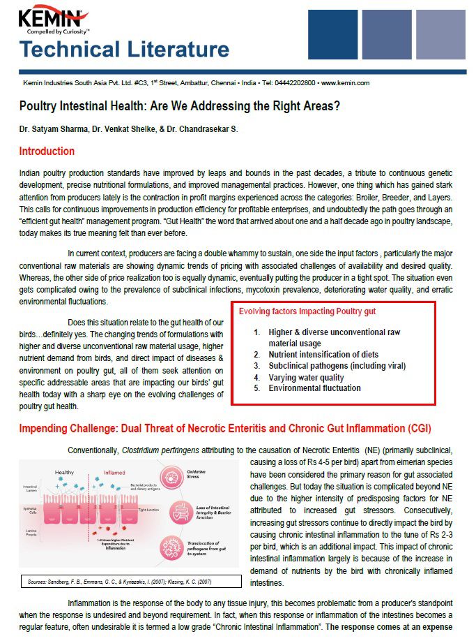 Poultry Intestinal Health: Are We Addressing the Right Areas?
